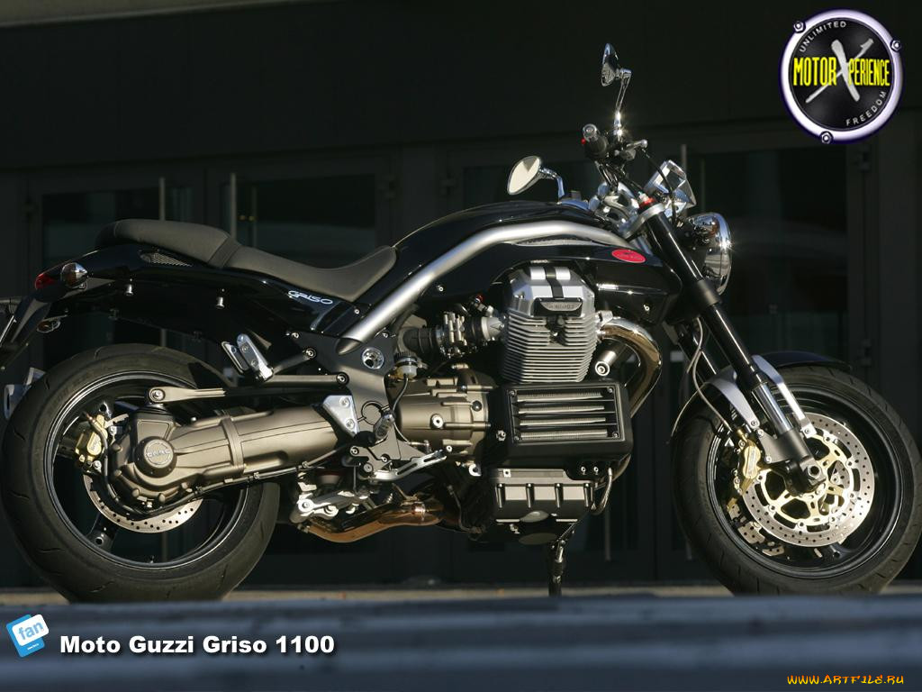 moto, guzzi, griso, 1100, 